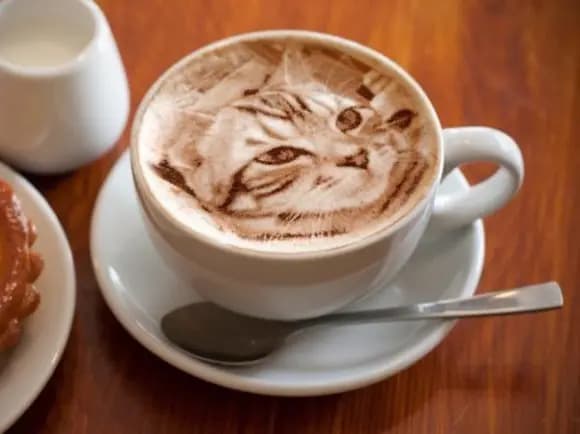 Cats Eye Espresso Coffee backViewImage